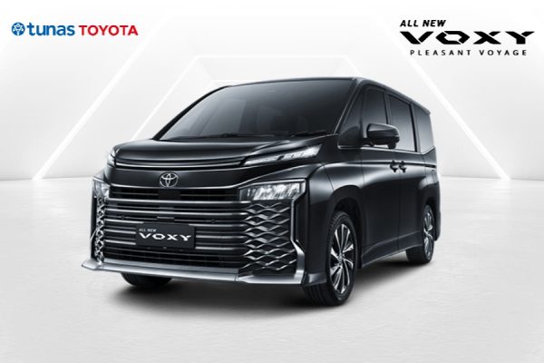 All New Voxy